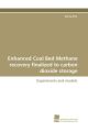 Enhanced Coal Bed Methane recovery finalized to carbon dioxide storage