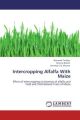 Intercropping Alfalfa With Maize
