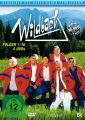 Wildbach 1