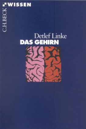 Das Gehirn