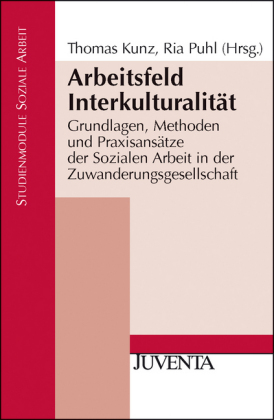 Arbeitsfeld Interkulturalität