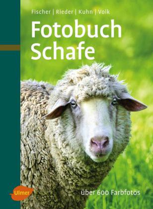 Fotobuch Schafe