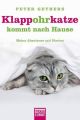 Klappohrkatze kommt nach Hause