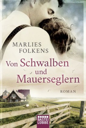 Von Schwalben und Mauerseglern