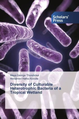 Diversity of Culturable Heterotrophic Bacteria of a Tropical Wetland