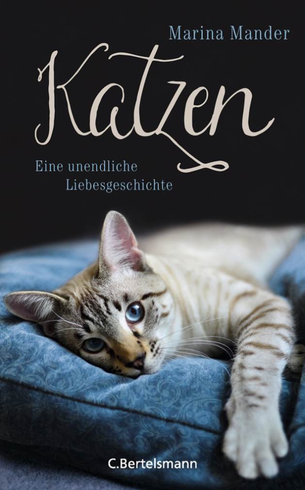 Katzen