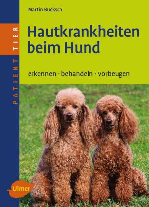 Hautkrankheiten beim Hund