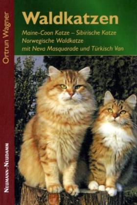 Waldkatzen