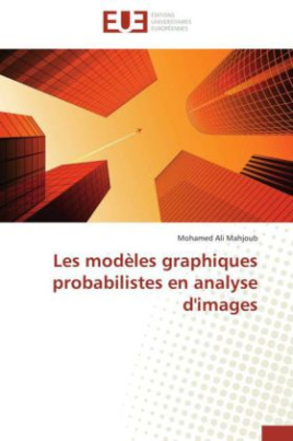 Les modèles graphiques probabilistes en analyse d'images