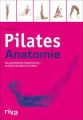 Pilates-Anatomie