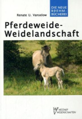 Pferdeweide - Weidelandschaft