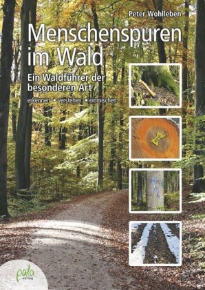 Menschenspuren im Wald