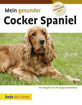 Mein gesunder Cocker Spaniel