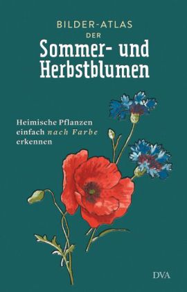 Bilder-Atlas der Sommer- und Herbstblumen