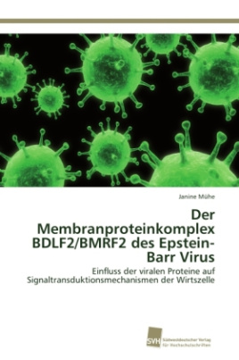 Der Membranproteinkomplex BDLF2/BMRF2 des Epstein-Barr Virus