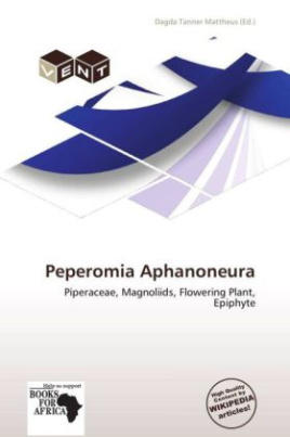 Peperomia Aphanoneura