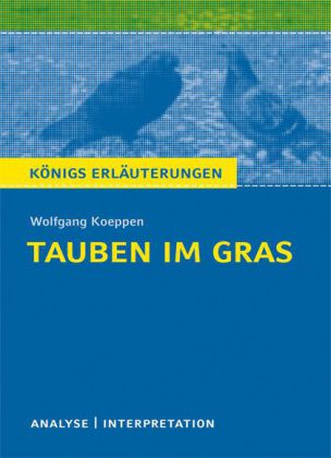 Interpretation zu Wolfgang Koeppen 'Tauben im Gras'