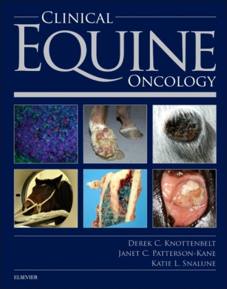 Clinical Equine Oncology