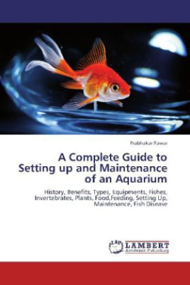 A Complete Guide to Setting up and Maintenance of an Aquarium