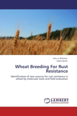 Wheat Breeding For Rust Resistance