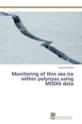 Monitoring of thin sea ice within polynyas using MODIS data
