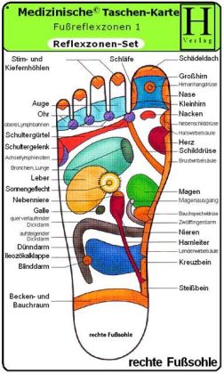 Reflexzonen Set, 3 Medizinische Taschen-Karten
