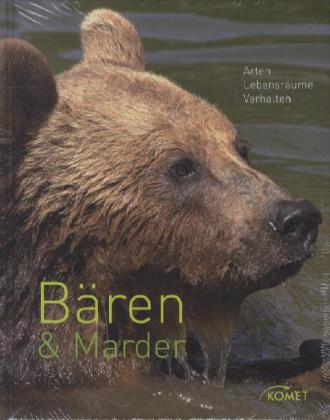 Bären & Marder