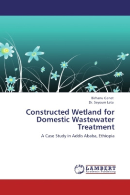 Constructed Wetland for Domestic Wastewater Treatment