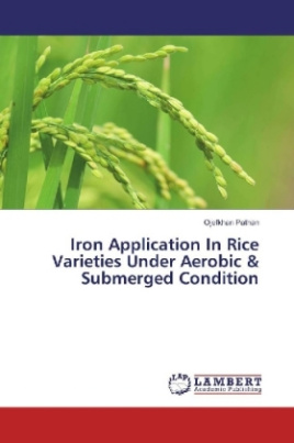 Iron Application In Rice Varieties Under Aerobic & Submerged Condition