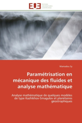 Paramétrisation en mécanique des fluides et analyse mathématique