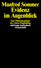 Evidenz im Augenblick