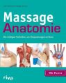 Massage-Anatomie