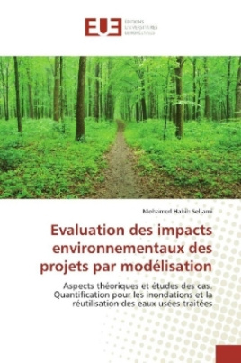 Evaluation des impacts environnementaux des projets par modélisation