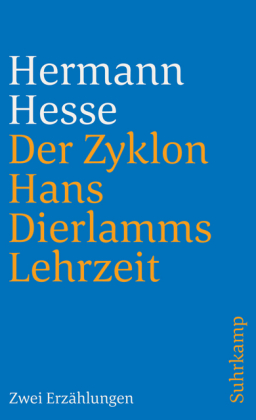 Der Zyklon und Hans Dierlamms Lehrzeit