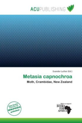 Metasia capnochroa