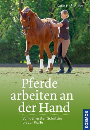 Pferde arbeiten an der Hand