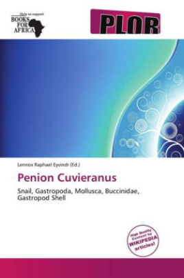 Penion Cuvieranus
