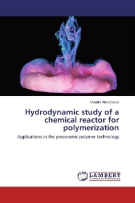 Hydrodynamic study of a chemical reactor for polymerization