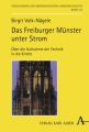 Das Freiburger Münster unter Strom