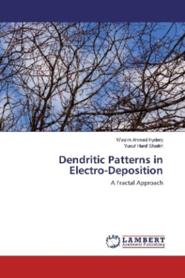 Dendritic Patterns in Electro-Deposition