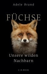 Füchse