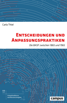 Entscheidungen und Anpassungspraktiken