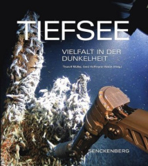 Tiefsee