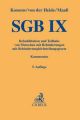 SGB IX