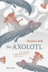 Der Axolotl