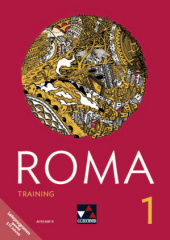 Training, m. CD-ROM