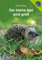 Der kleine Igel wird groß