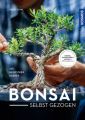 Bonsai - selbst gezogen