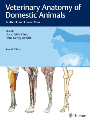 Veterinary Anatomy of Domestic Animals