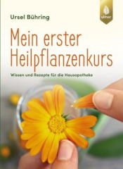 Mein erster Heilpflanzenkurs